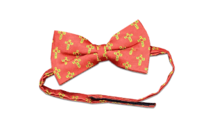 Nœud-Papillon-Rouge-Croix-Dorée