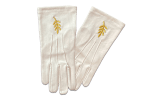 B-J-gants-1-branche-Acacia-dorée