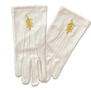 B-J-gants-1-branche-Acacia-dorée