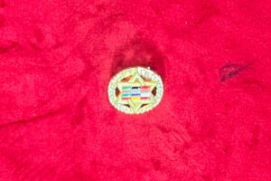 B J – PINS ETOILE DE DAVID–DORéE 2.5CM 2