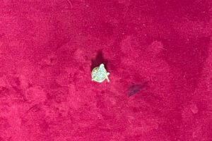 B J – PINS MAçONNIQUE EQUERRE COMPAS DORéS G 1×1,2CM 1