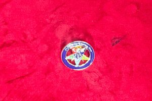 B J – PINS MAçONNIQUE ETOILE COMPAS EQUERRE G ORDER OF THE EASTERN STAR DORéS FOND BLEU 3CM 1