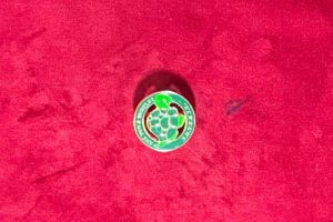 B J – PINS MAçONNIQUE TARTARUGA DORéS FOND VERT 3CM 1